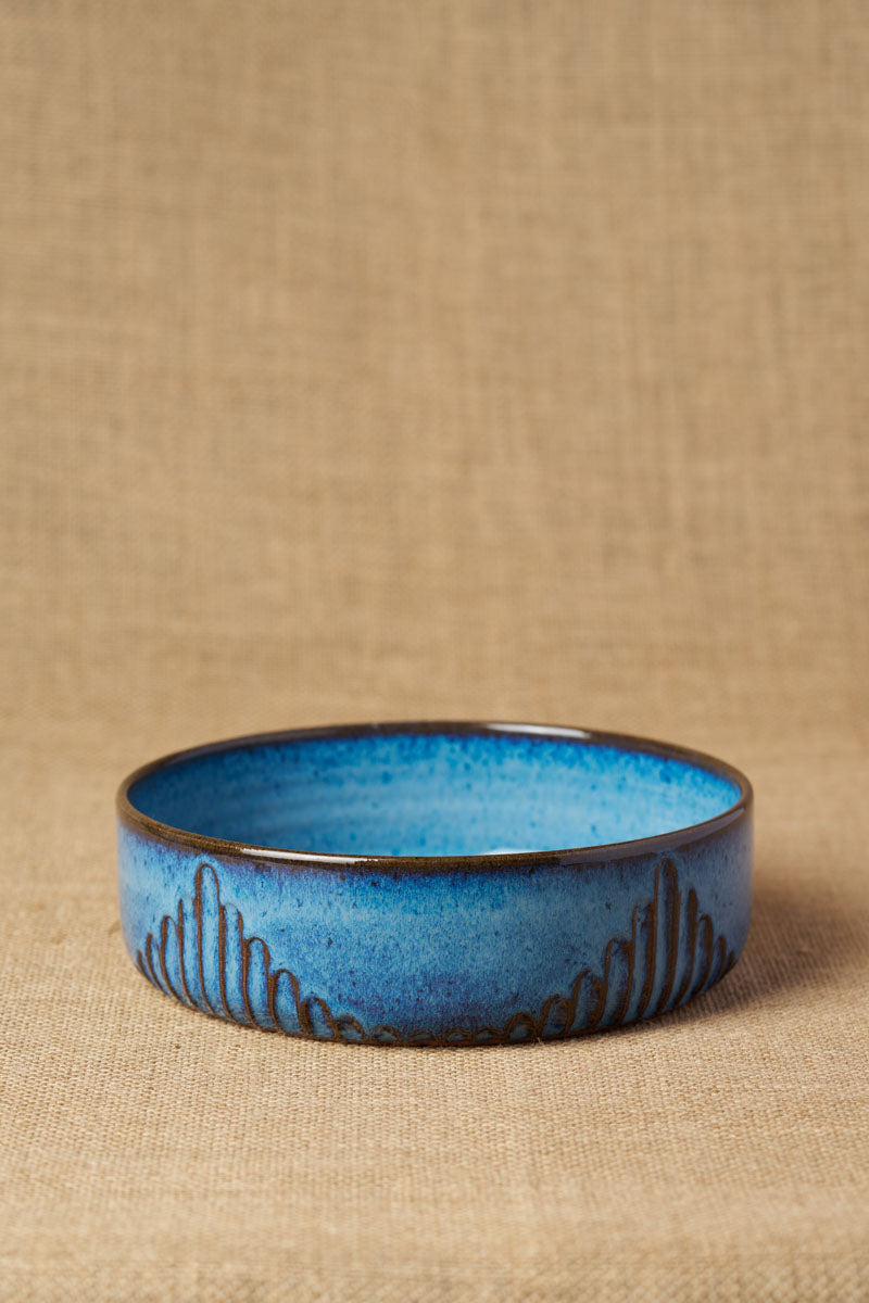 Tiger Hill Pasta Bowl